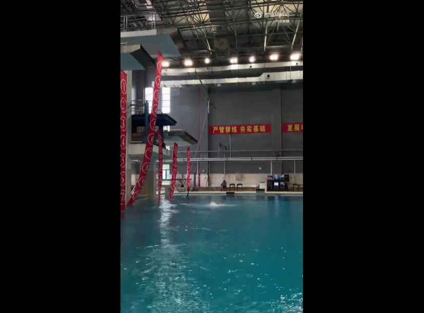 media, 夺得冠军的